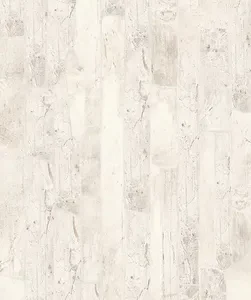 ARAGON BLANCO 30X60 CARABOBO